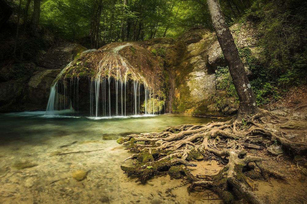 Photograph by Владимир Яковлев