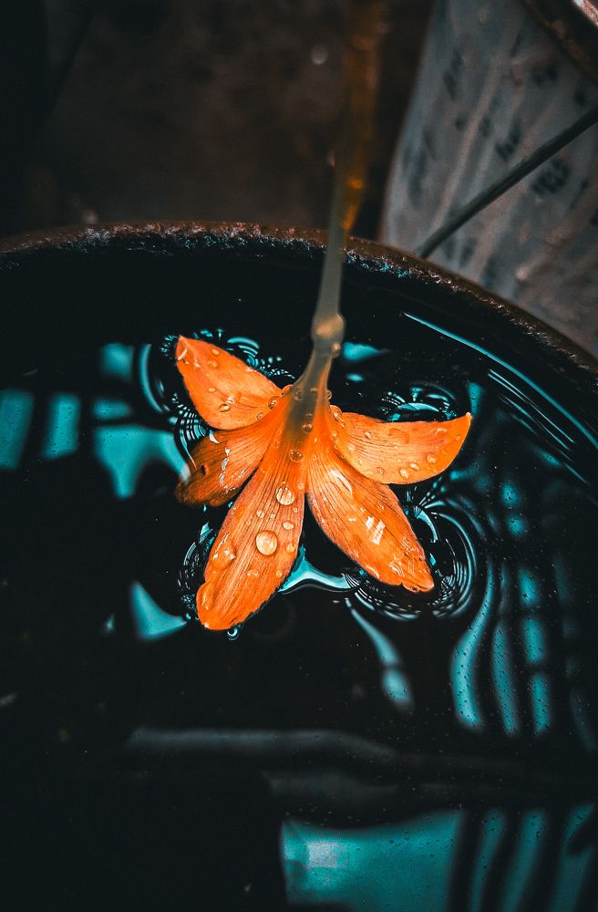 Photograph by Ashuti Pandey
