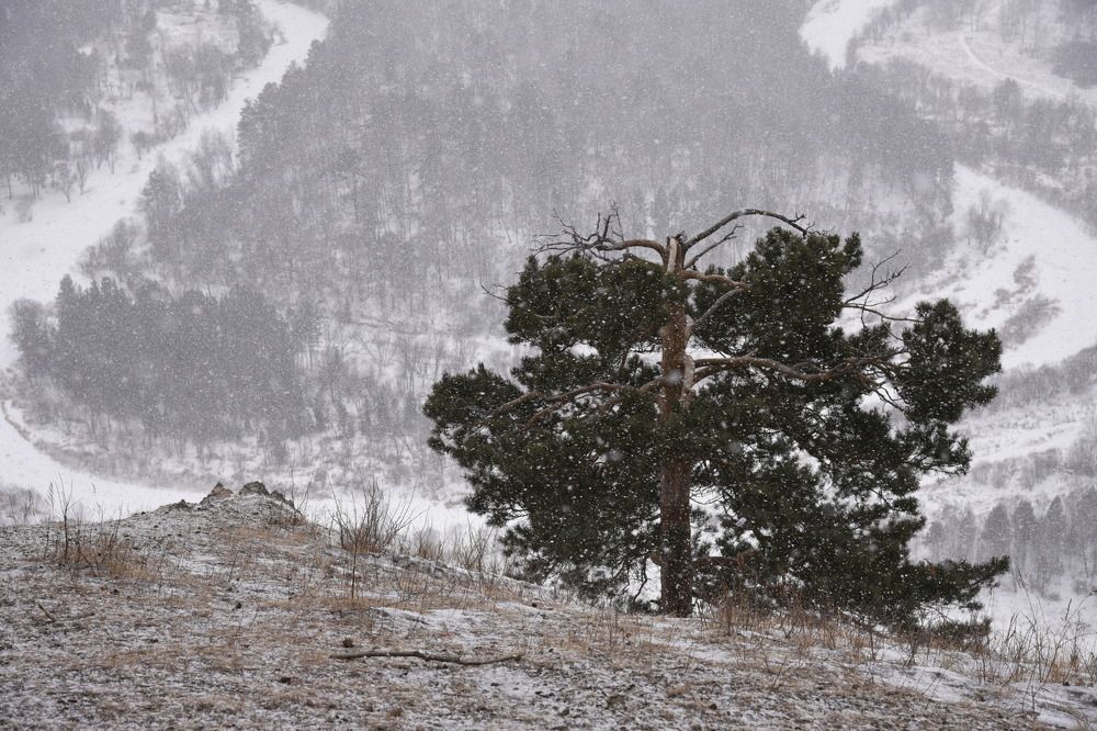 Photograph by Ксения Шакирова