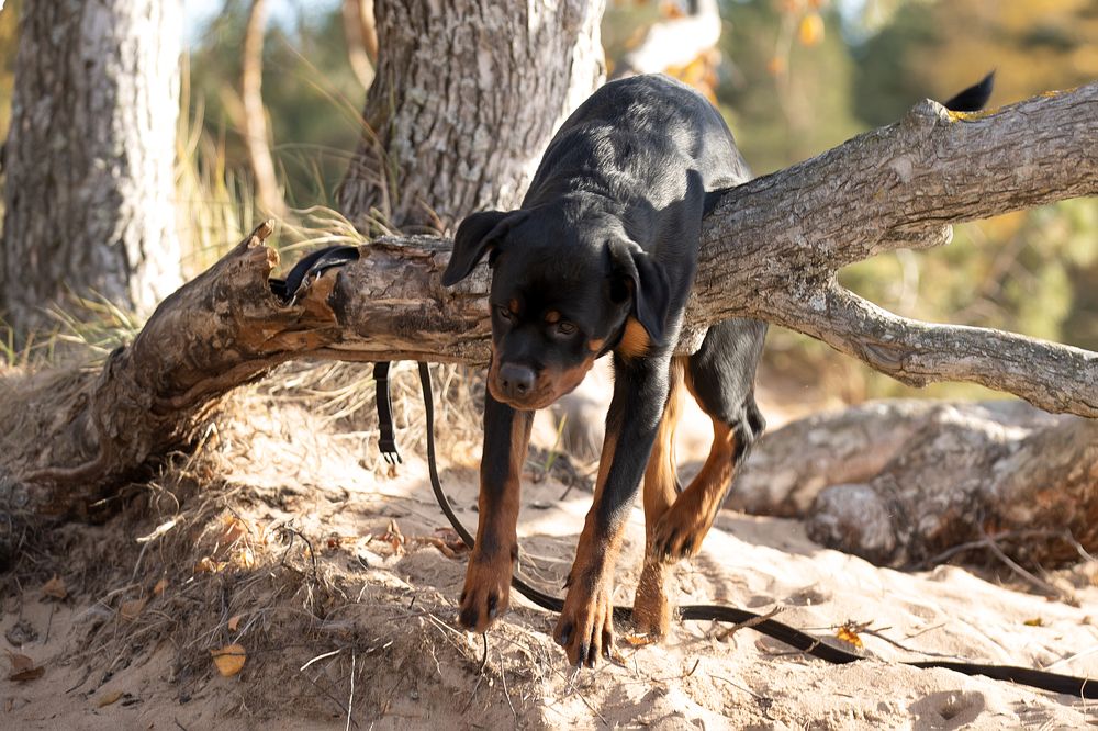 "Будет весело" говорили они.