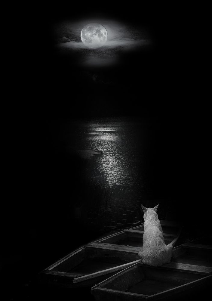 Photograph by Александр Завьялов