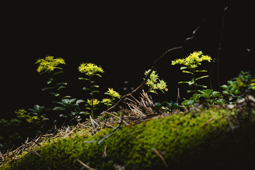 Photograph by Савенко Кирилл