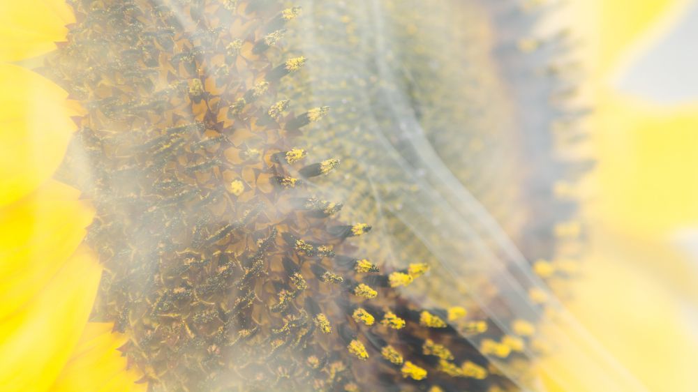 Photograph by Савенко Кирилл