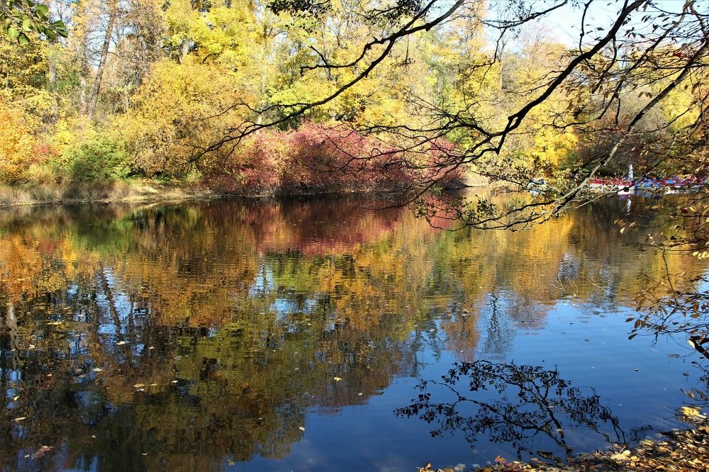 Photograph by Валентина