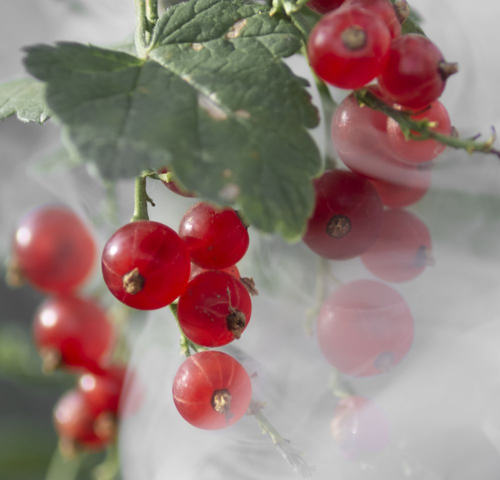 Photograph by Савенко Кирилл