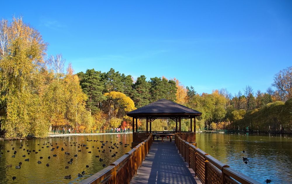 Photograph by Алексей Хазов