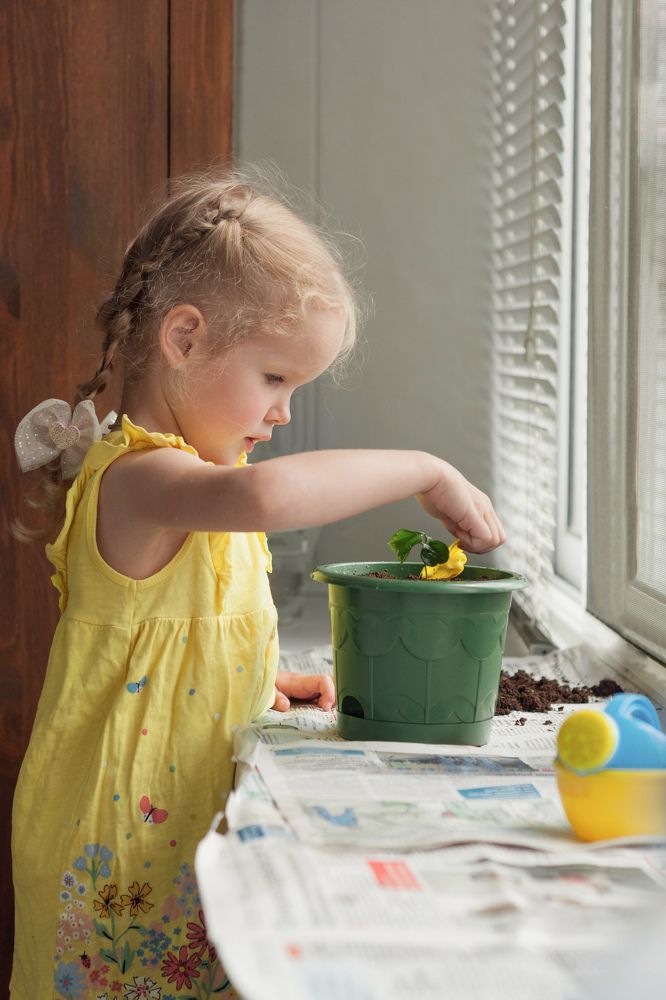 Фотография автора Александра Белова