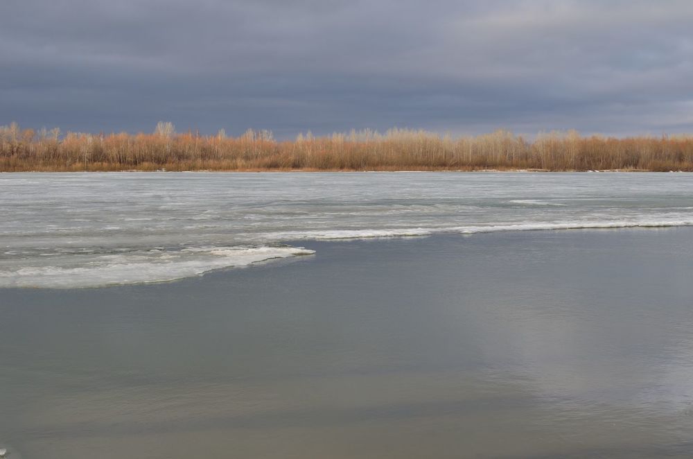 Photograph by Александр Карпенко