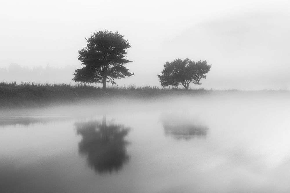National Park Of Pieniny