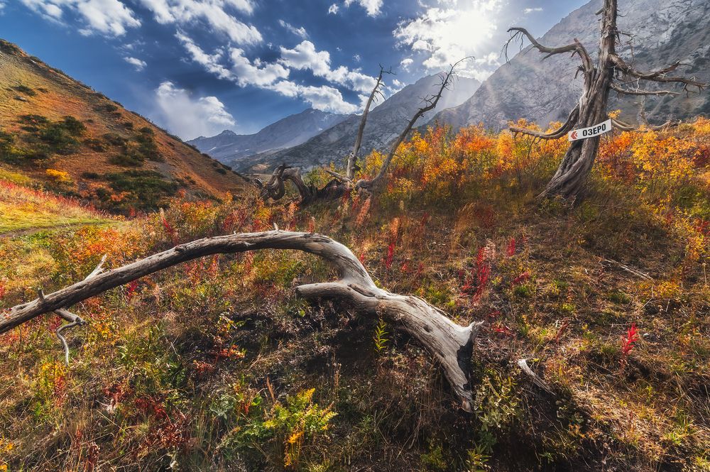 Photograph by Александр Корчагин