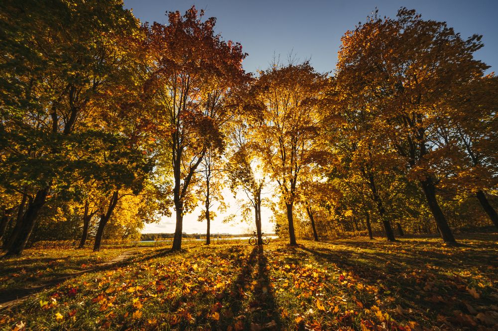 Photograph by Юрий Гаврилов