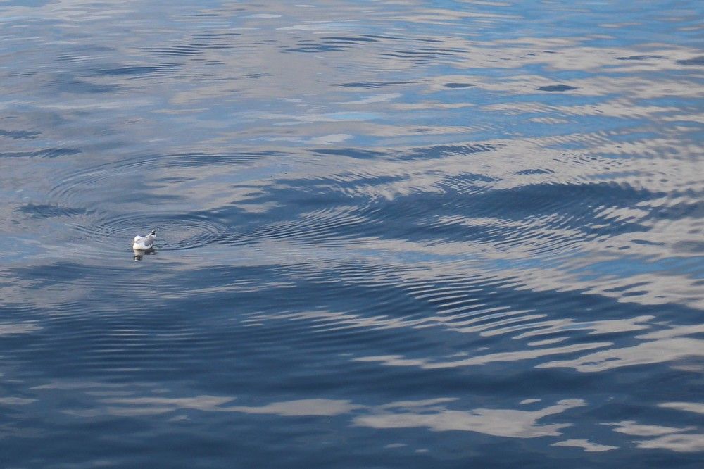 Photograph by Валентина