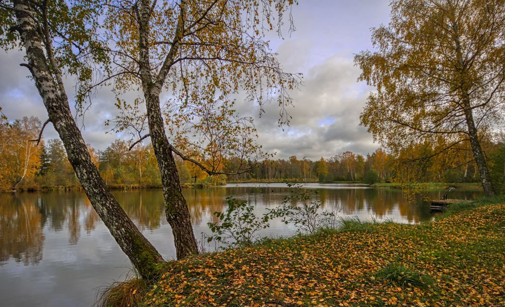 Photograph by Albina Kulikova