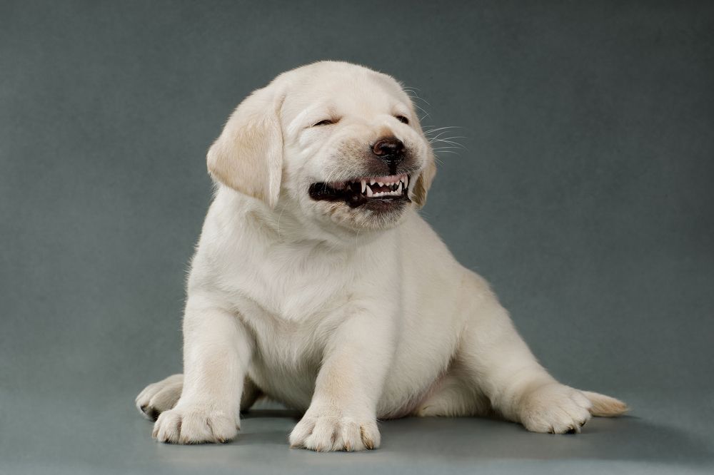 Photograph by Светлана Писарева