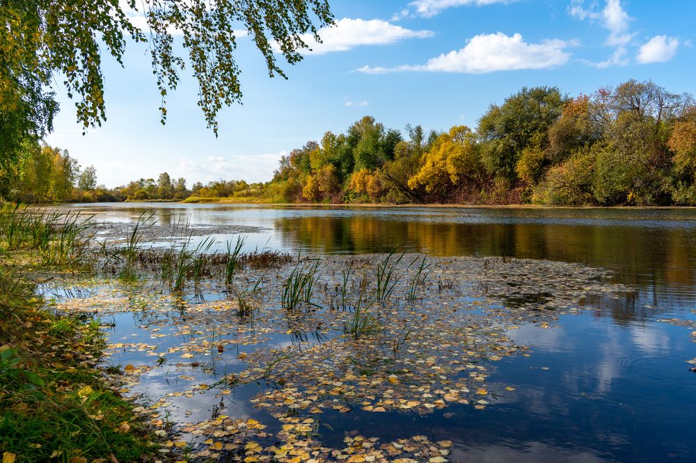 Photograph by Екатерина Дубровская