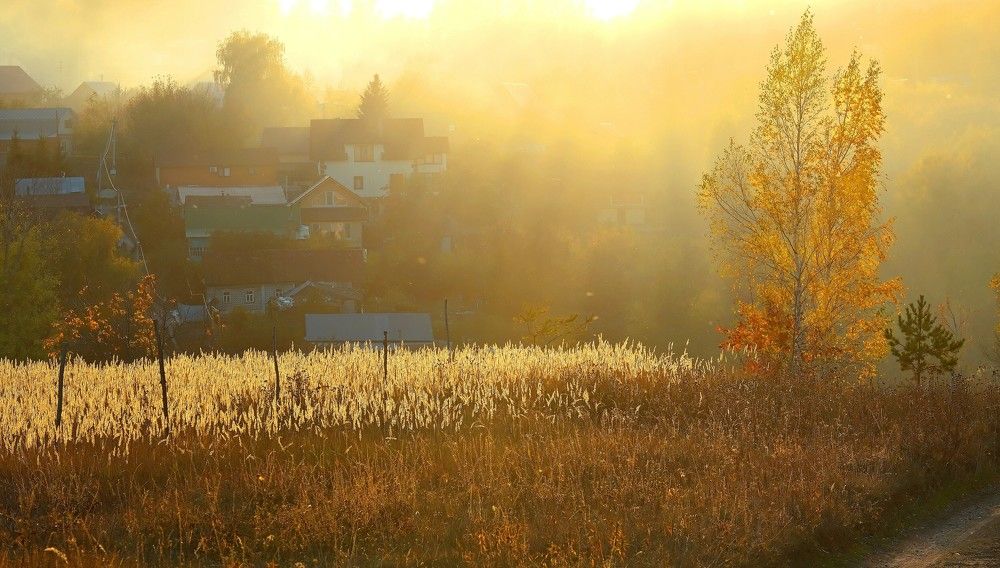 Photograph by Светлана Юрьевна Елагина