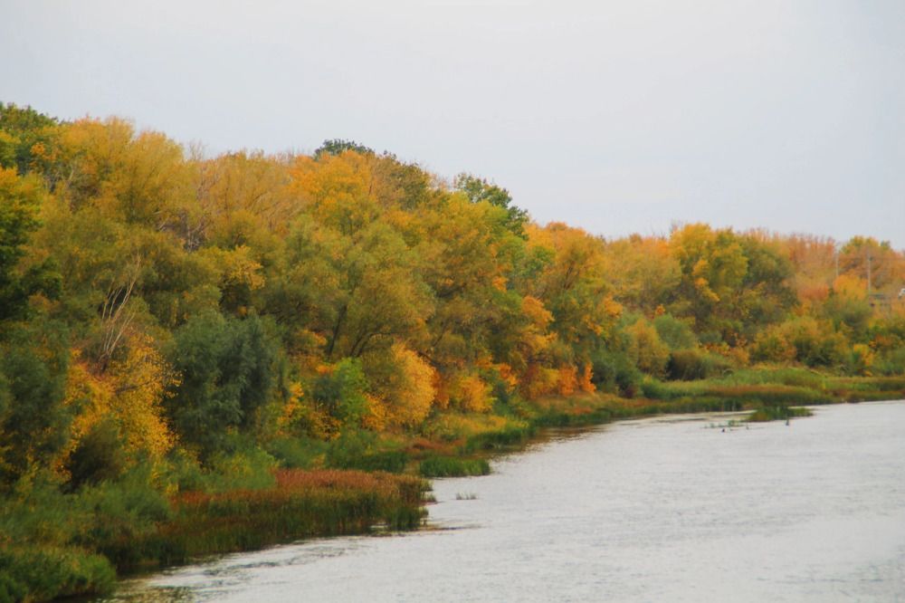 Photograph by Елена Чурынина