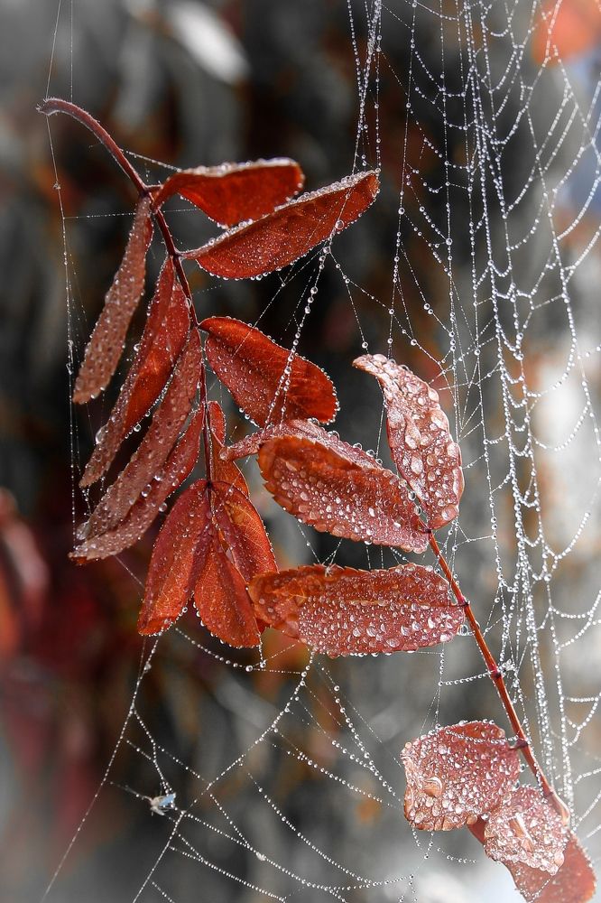 Photograph by Олеся Постнова