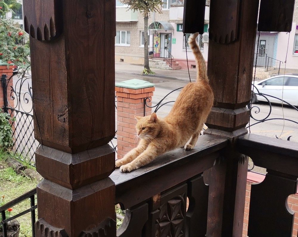 Photograph by Ирина Садовникова