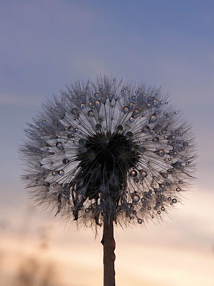 Уходящий свет заката...