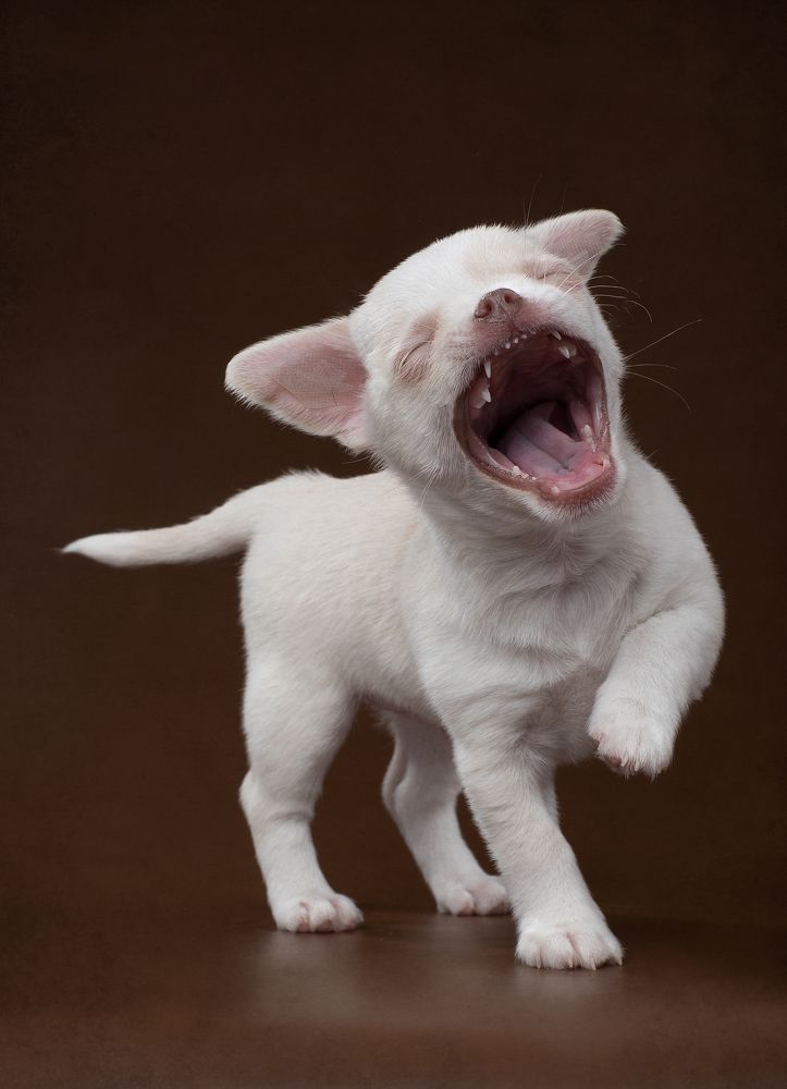 Photograph by Светлана Писарева