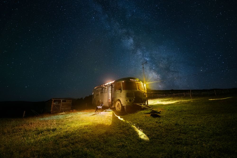 Photograph by Елена Ермолина