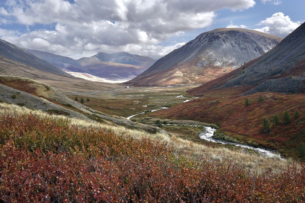 Осень. Возвращаясь из Джазатора