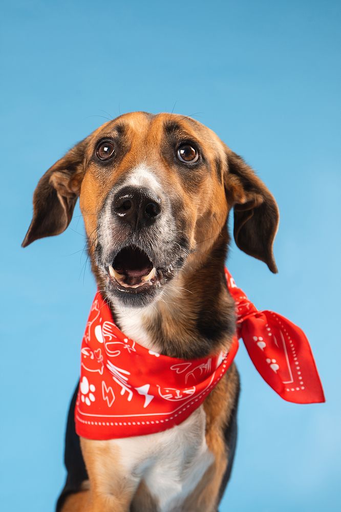 Photograph by Светлана Писарева