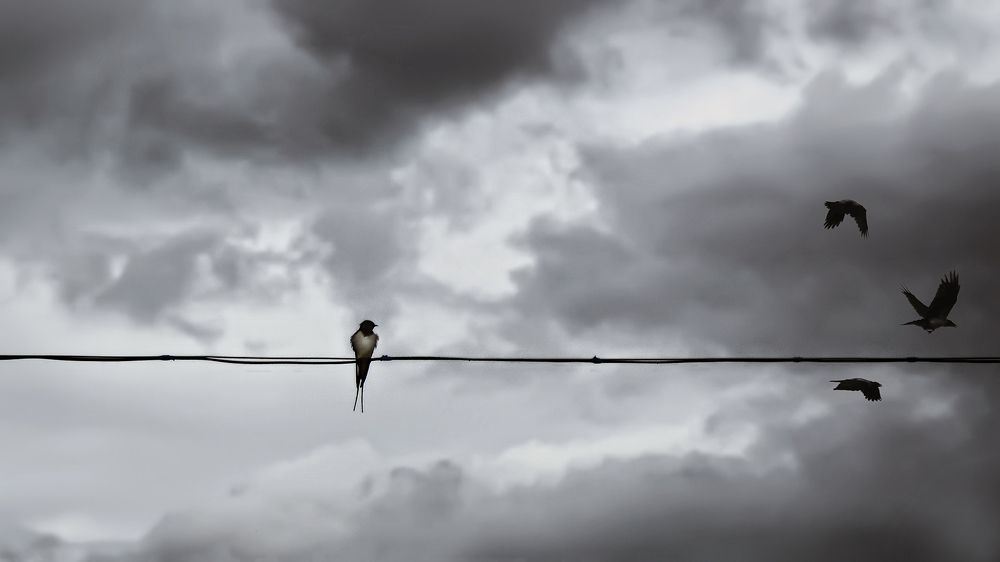 Photograph by Алексей Парамонов