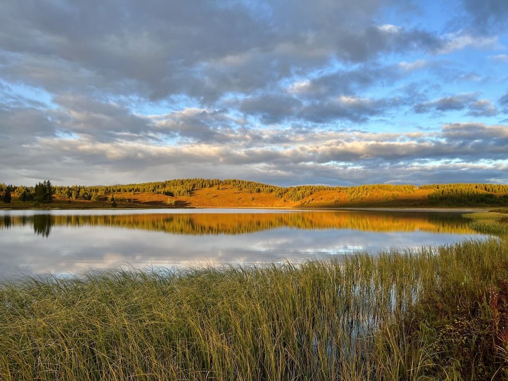Утро на тихом озере