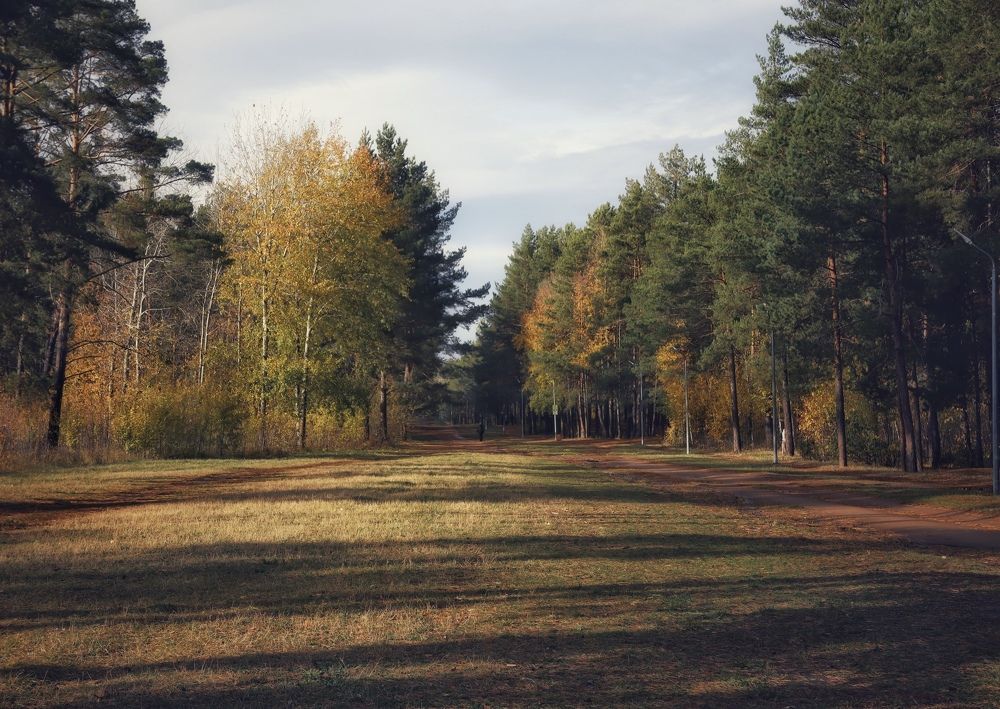 Photograph by Кира Бахвалова