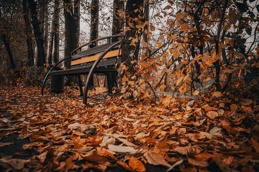 Фотография автора Виталий Гавронский