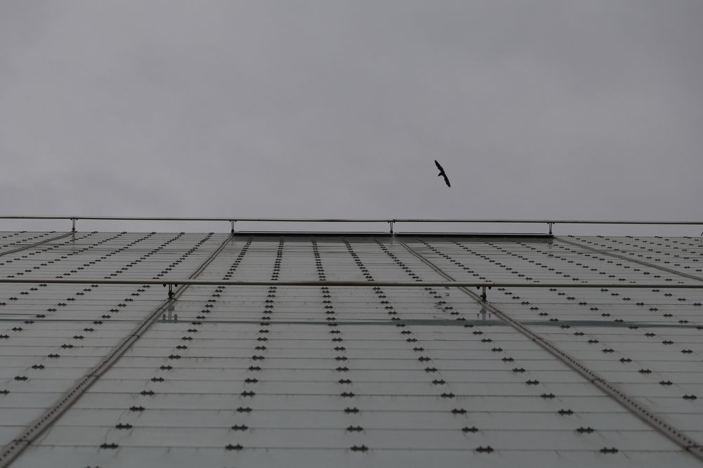 Photograph by Buket Demirel