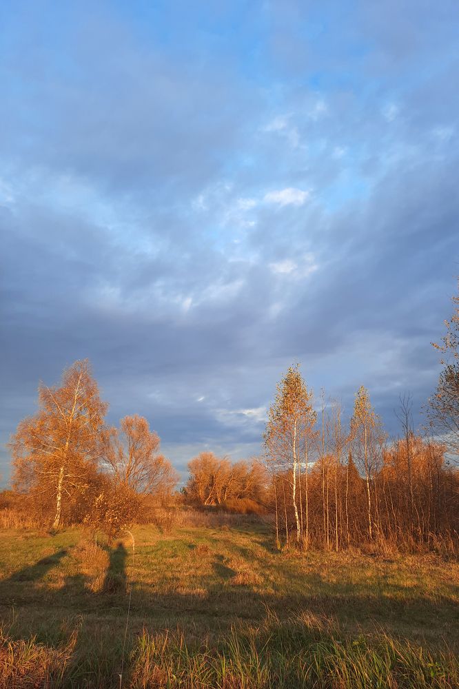 Прогулка в октябре