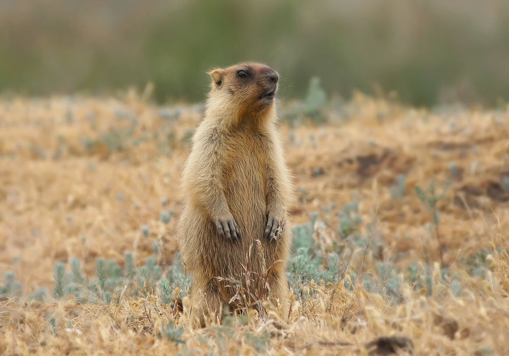 Фотография автора Галина