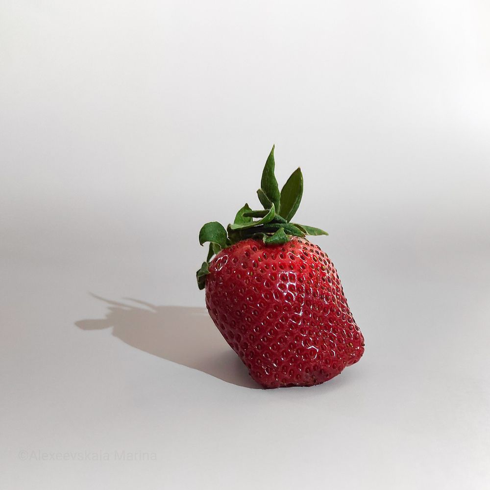 Фотография автора Марина Алексеевская