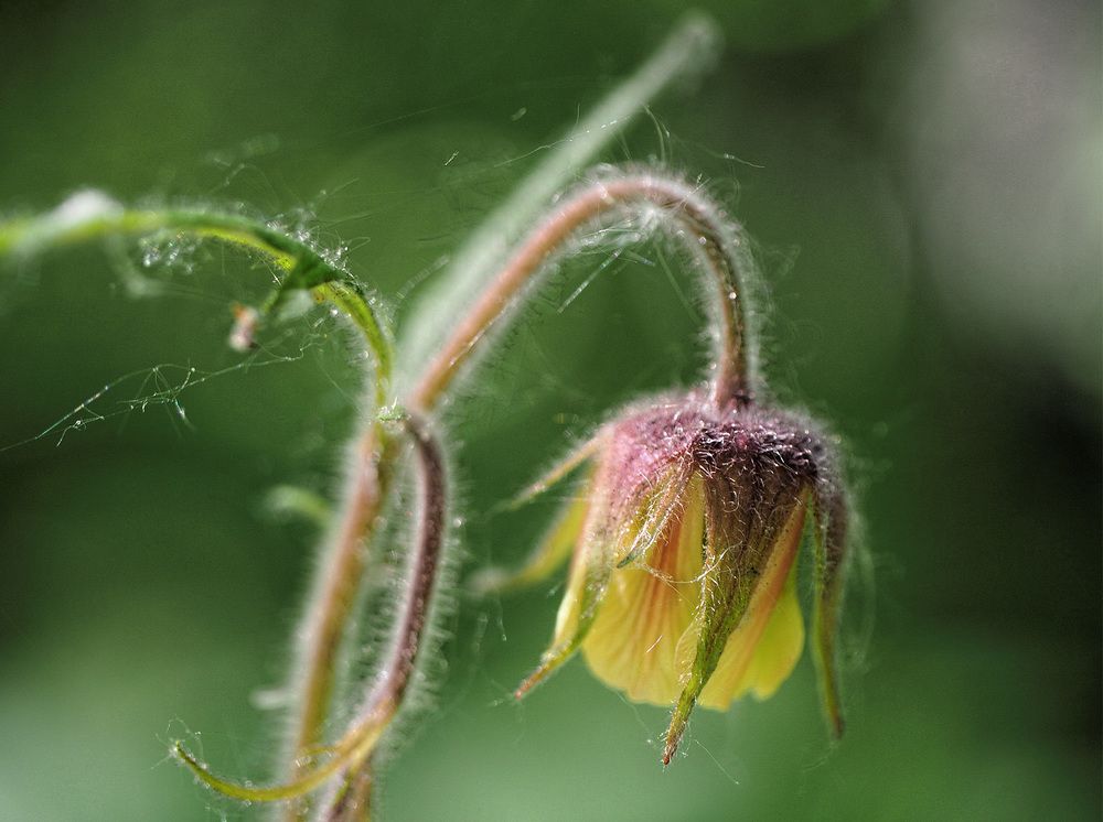 Photograph by Павел Кулинич