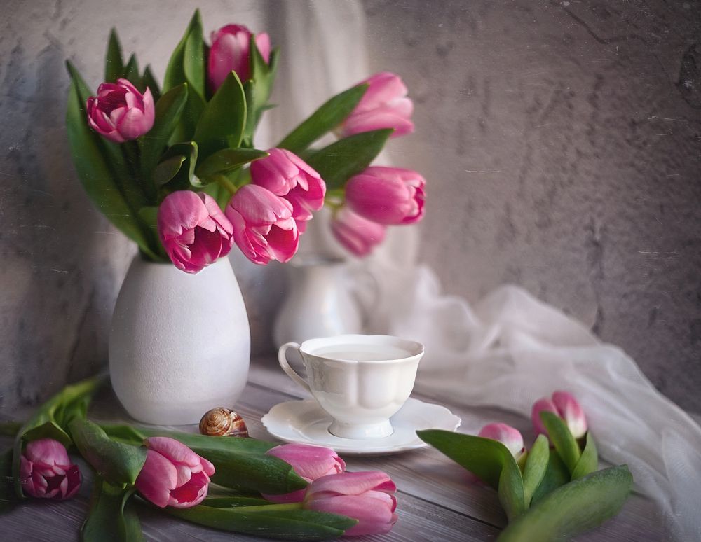 Photograph by S. Dana