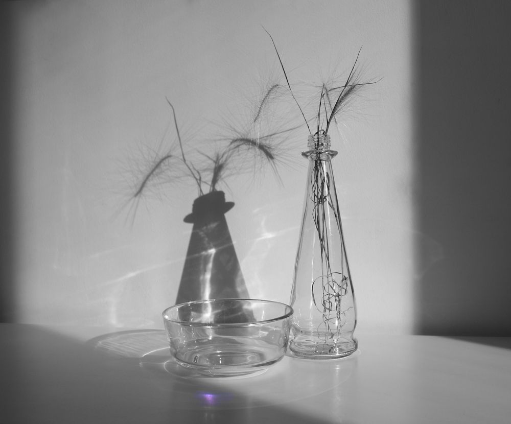 Photograph by Инна Попова