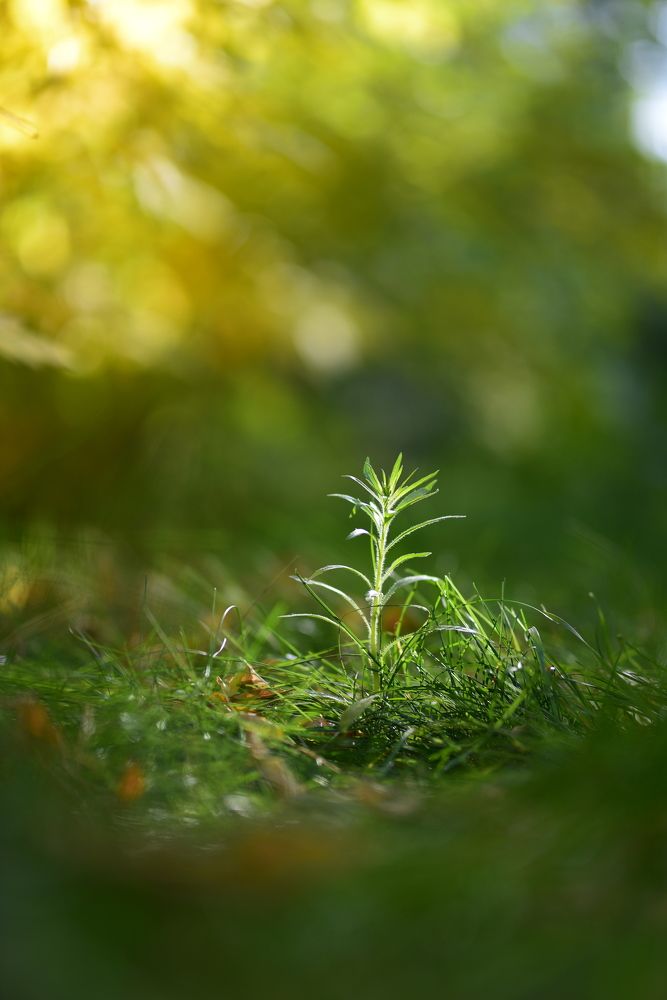 Фотография автора Дмитрий Кетов