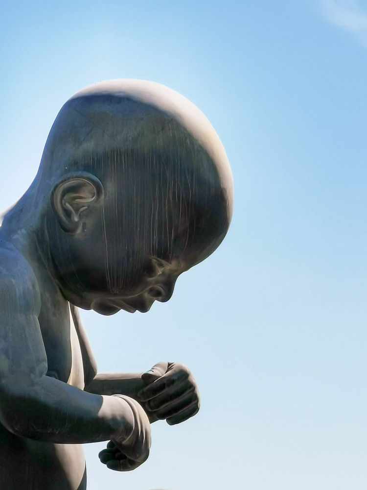 Photograph by Mohammad Saad