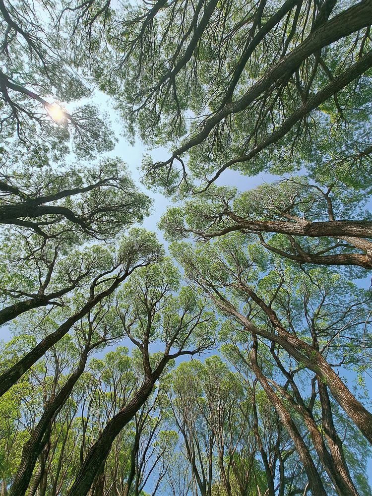 Photograph by Сергей Шварцман