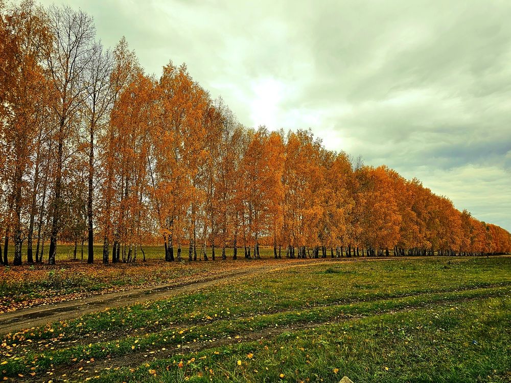 Photograph by Марат