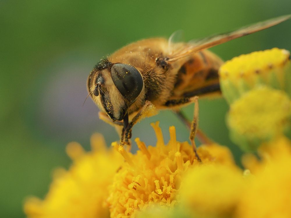Photograph by Ирина Протченко