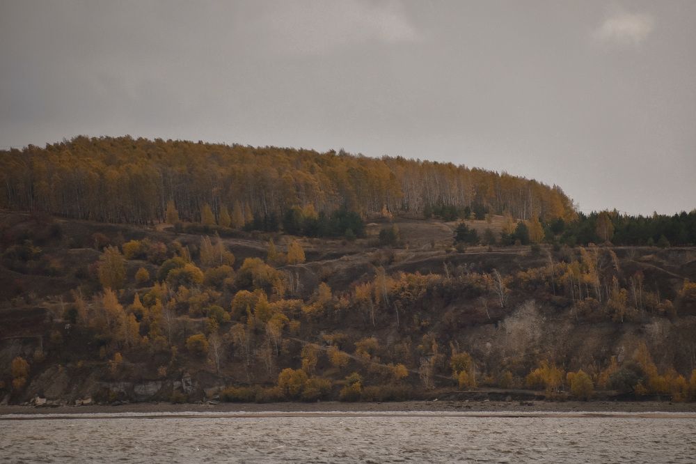 Photograph by Elvira