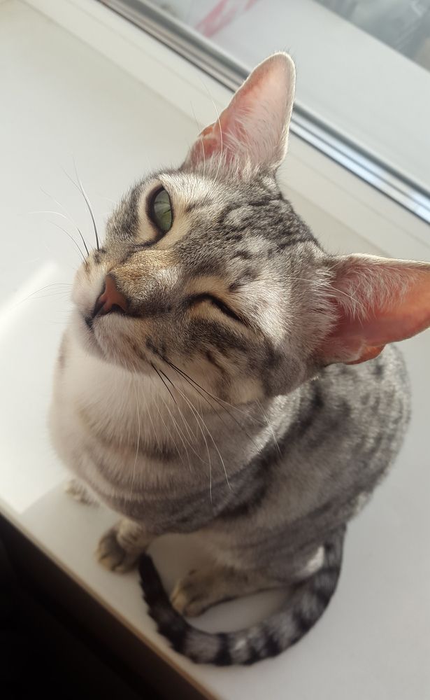 Фотография автора Марина Алексеевская