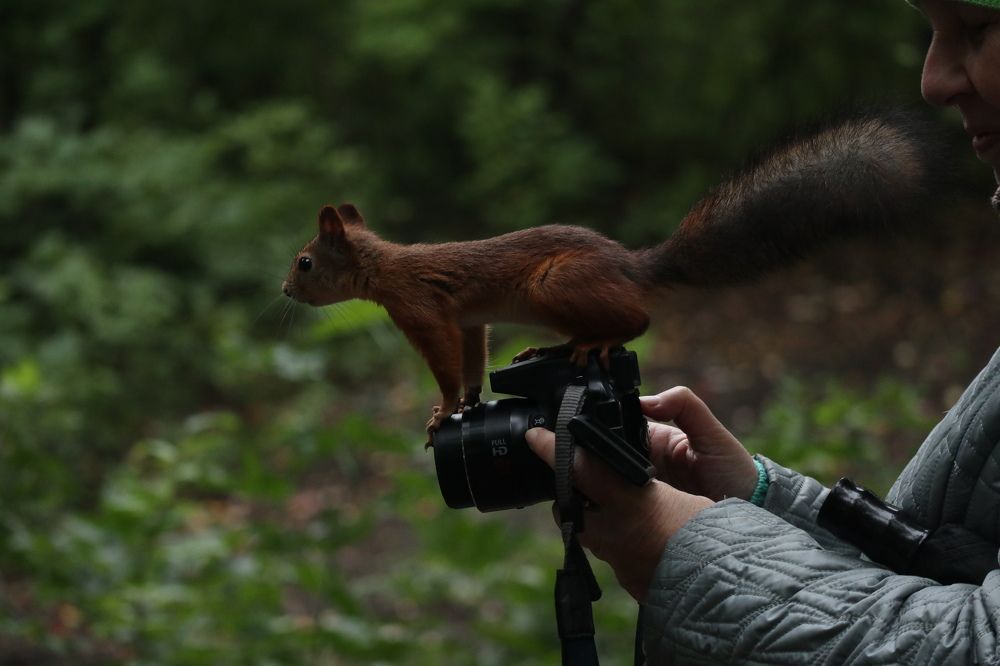 Photograph by Мария Глухова