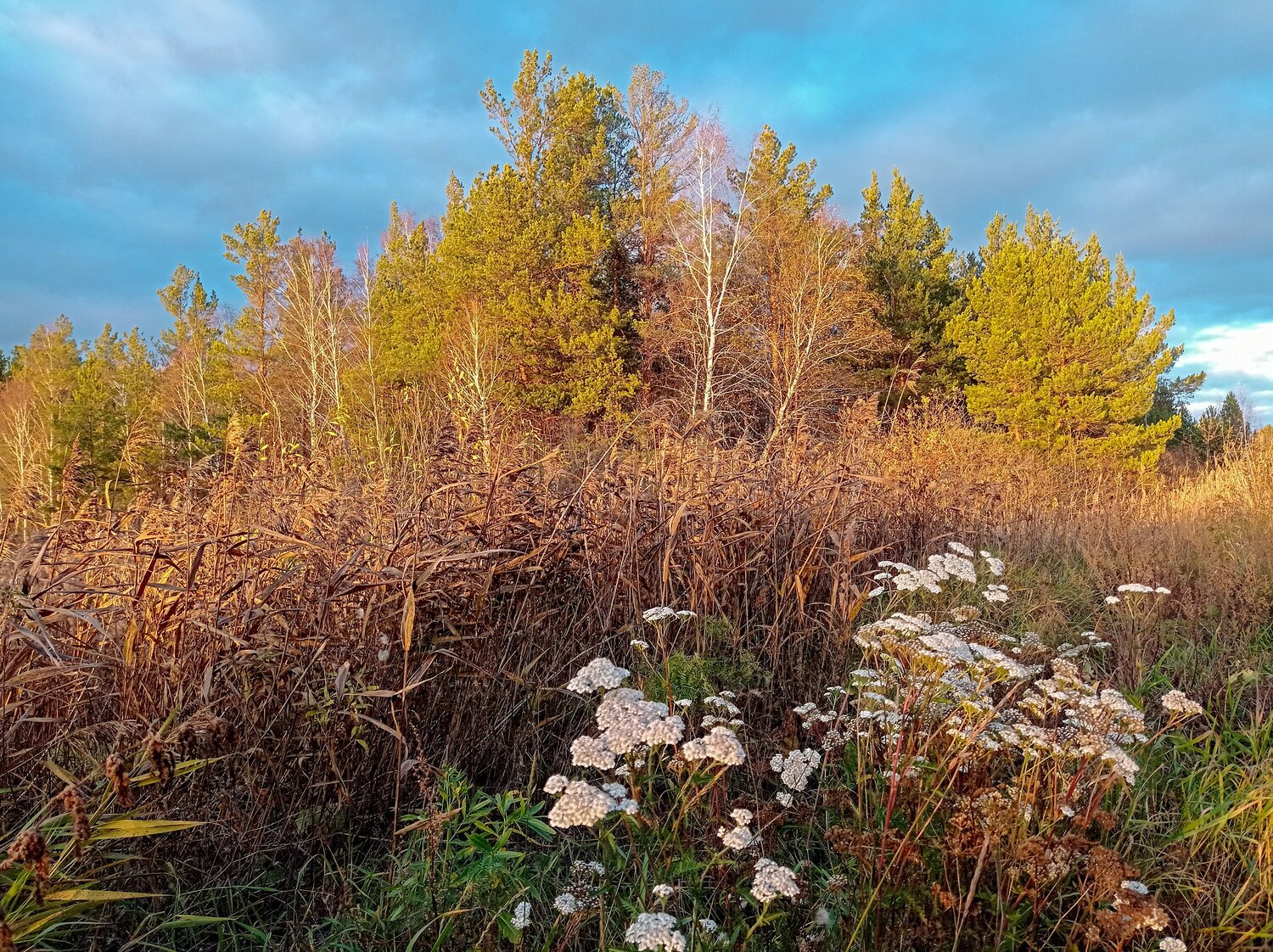 Photo #9685551