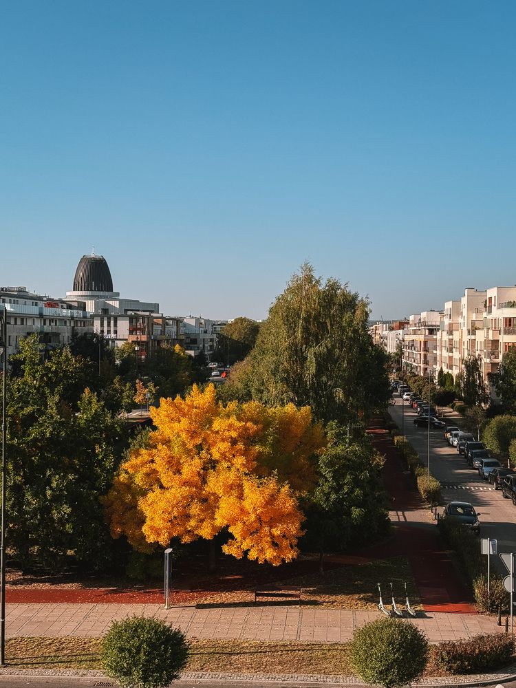 Photograph by Vialeta