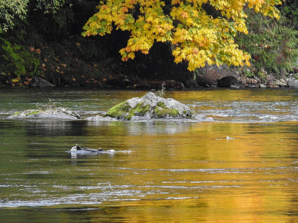 Photograph by Tareen